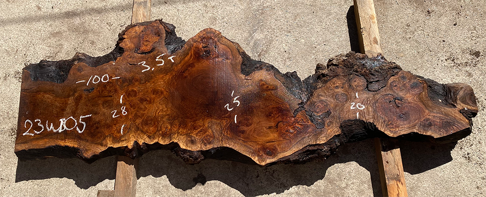 Walnut Burl Slab