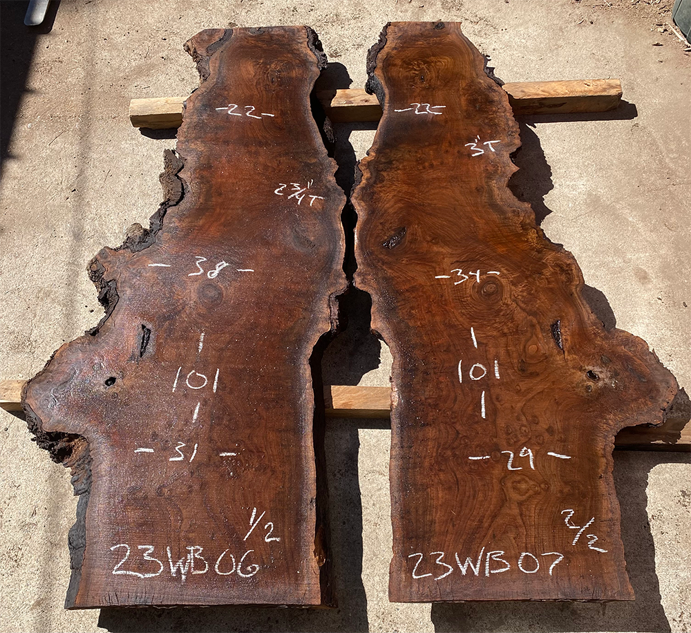 Bookmatched Walnut Burl Slabs