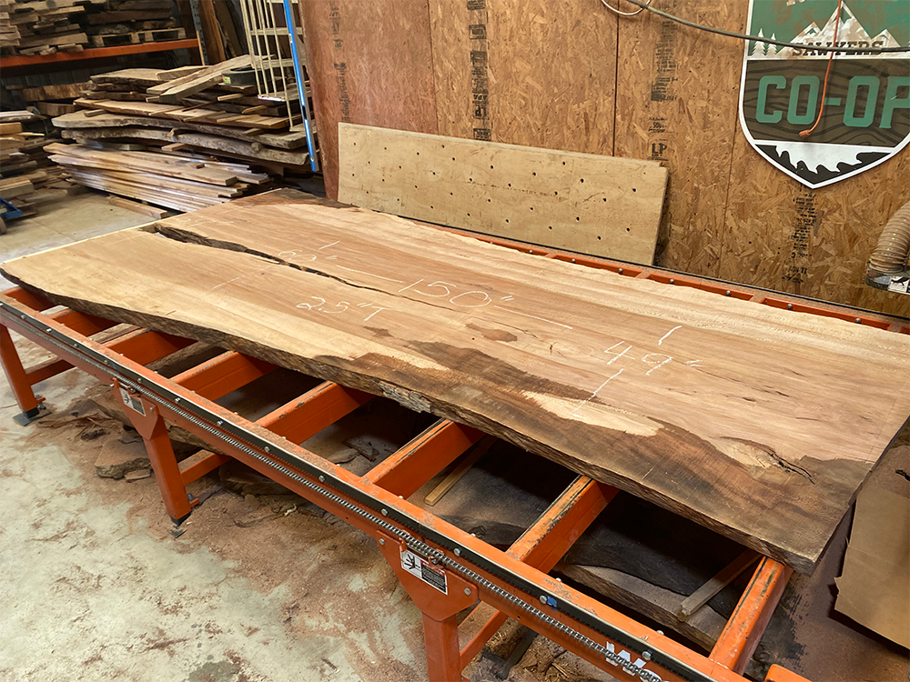 Giant Sycamore Slab