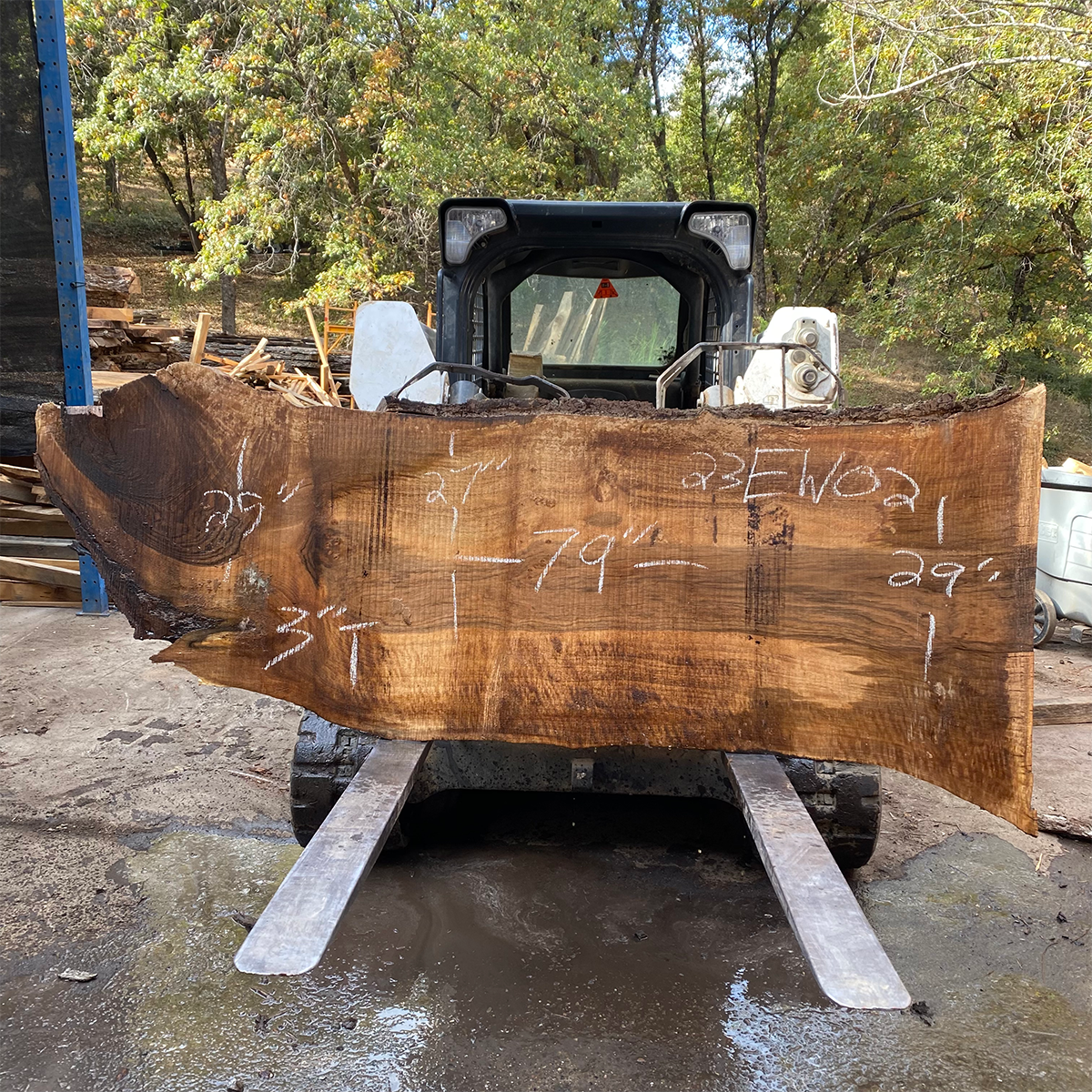 English Walnut Slab