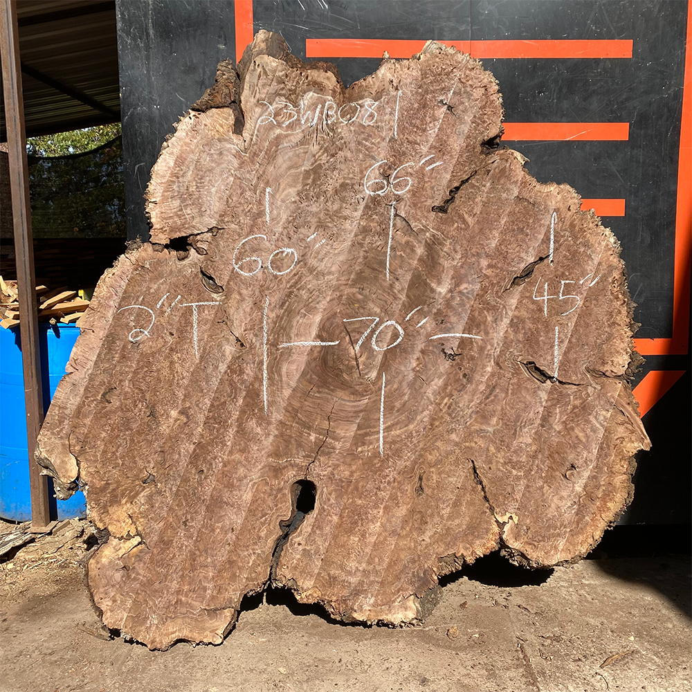 Walnut Burl Cookie