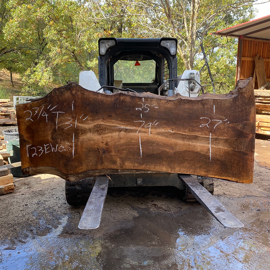 English Walnut Slab