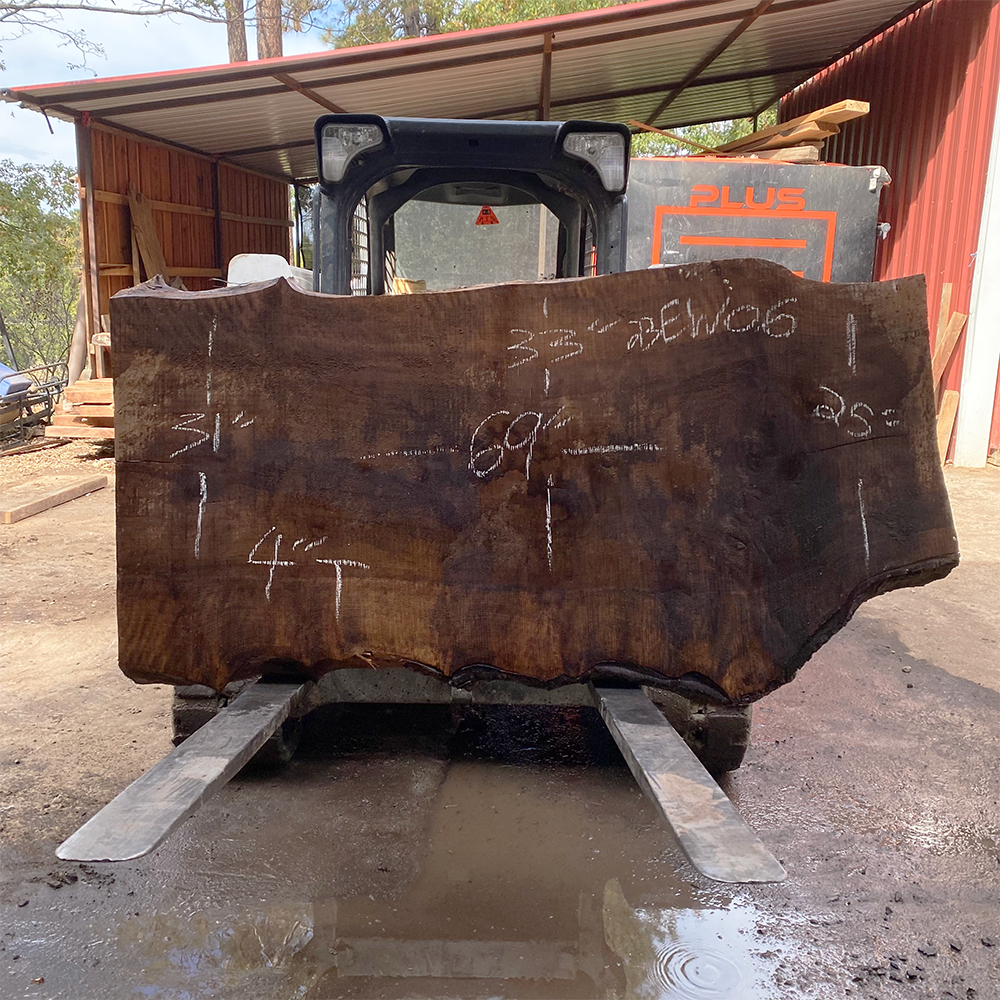 English Walnut Slab