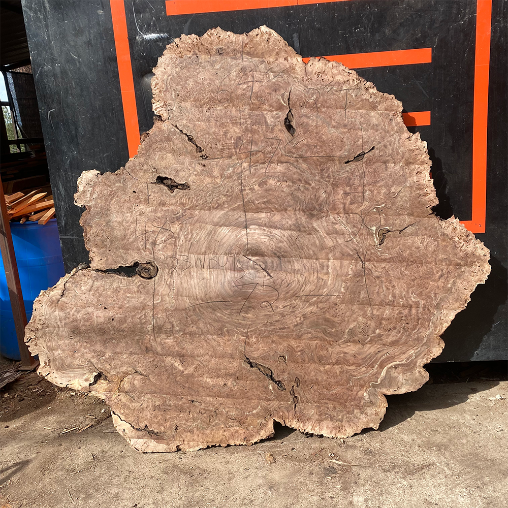 Walnut Burl Cookie
