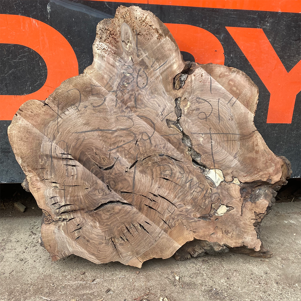 Walnut Burl Cookie