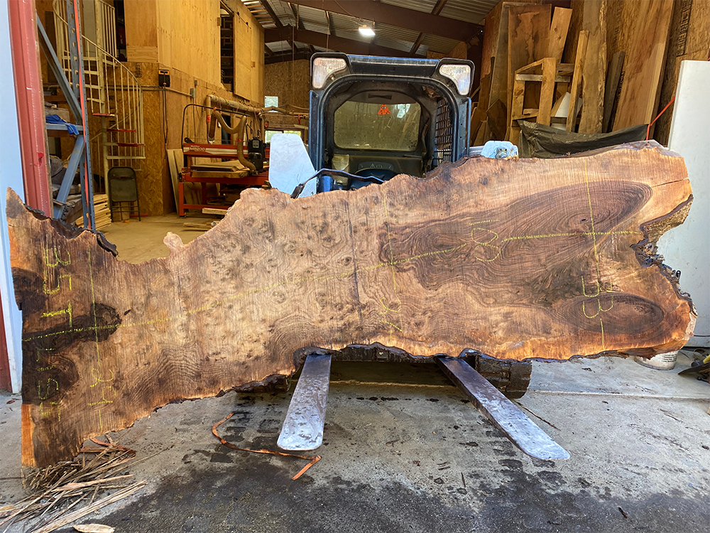 Burled English Walnut Slab