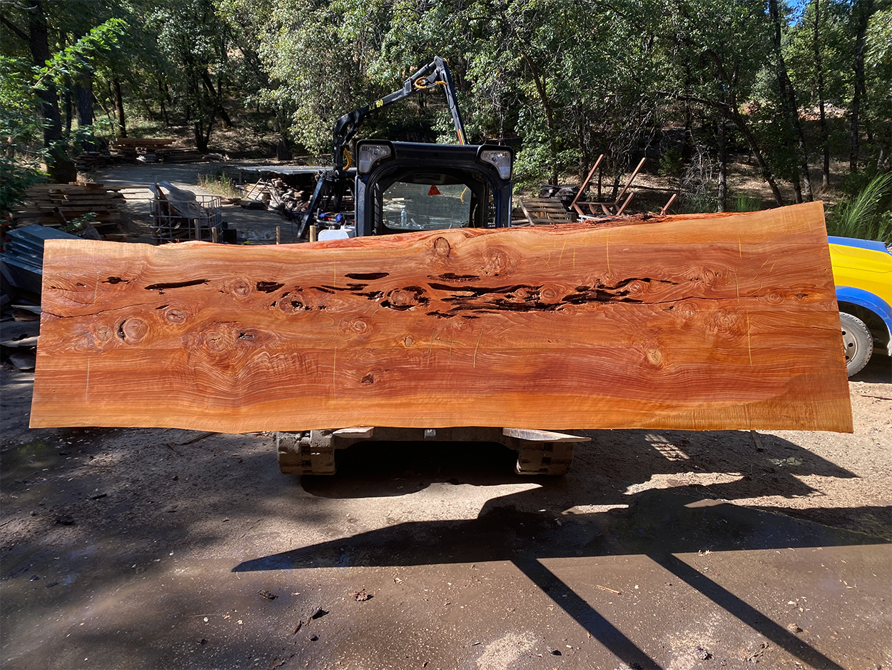 Giant Cedar Slab
