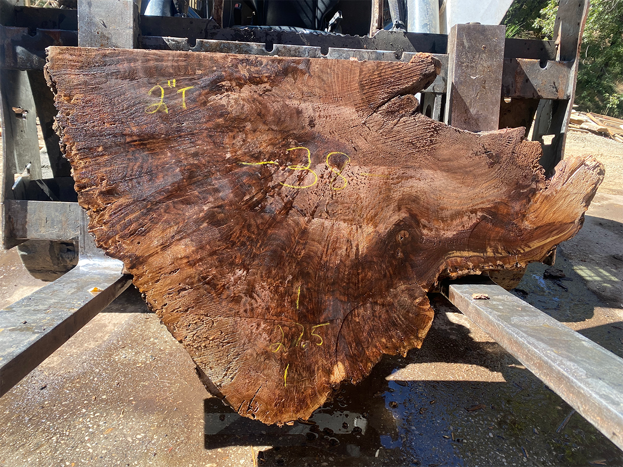 Walnut Burl Cookie
