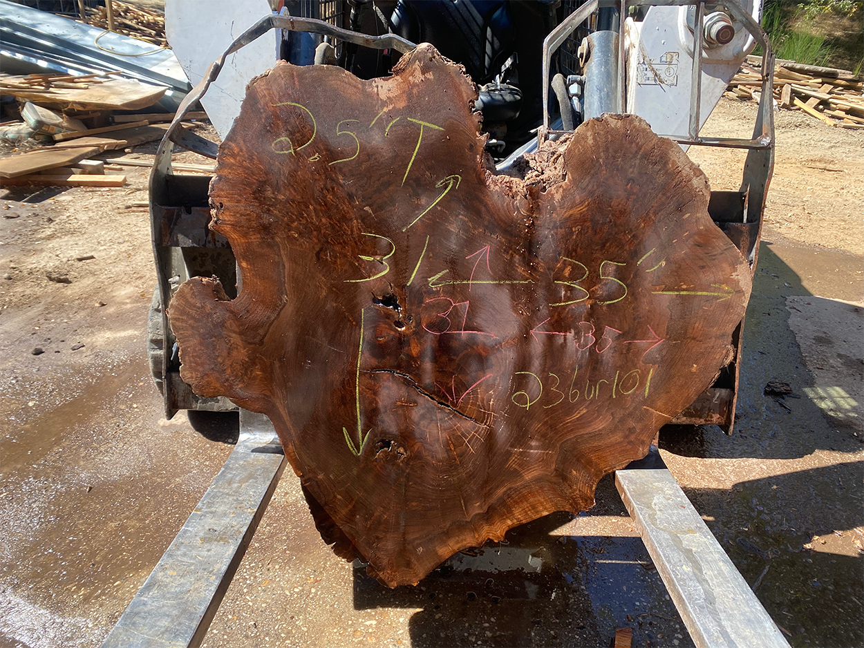 Walnut Burl Cookie