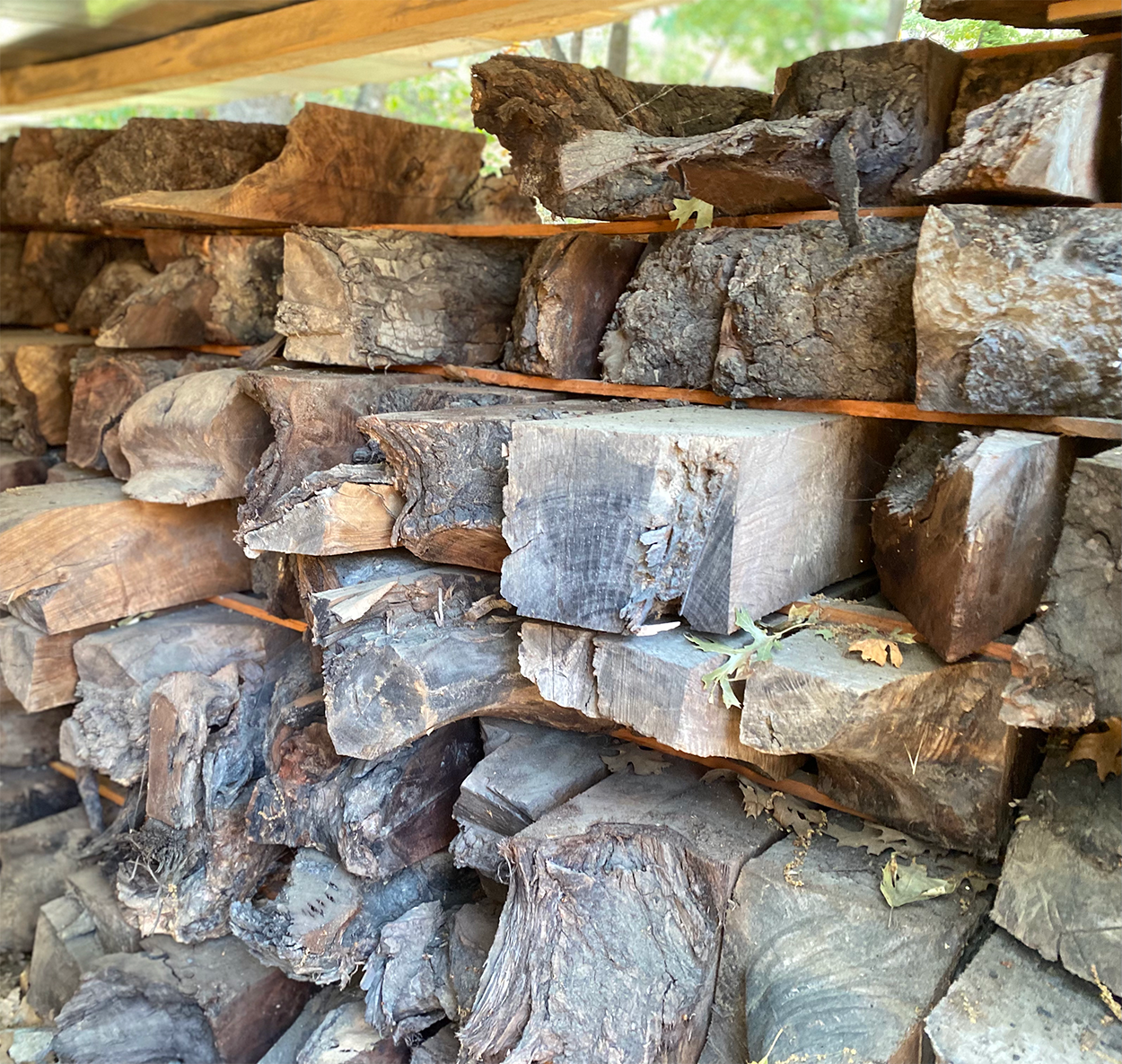 Walnut Burl Blanks