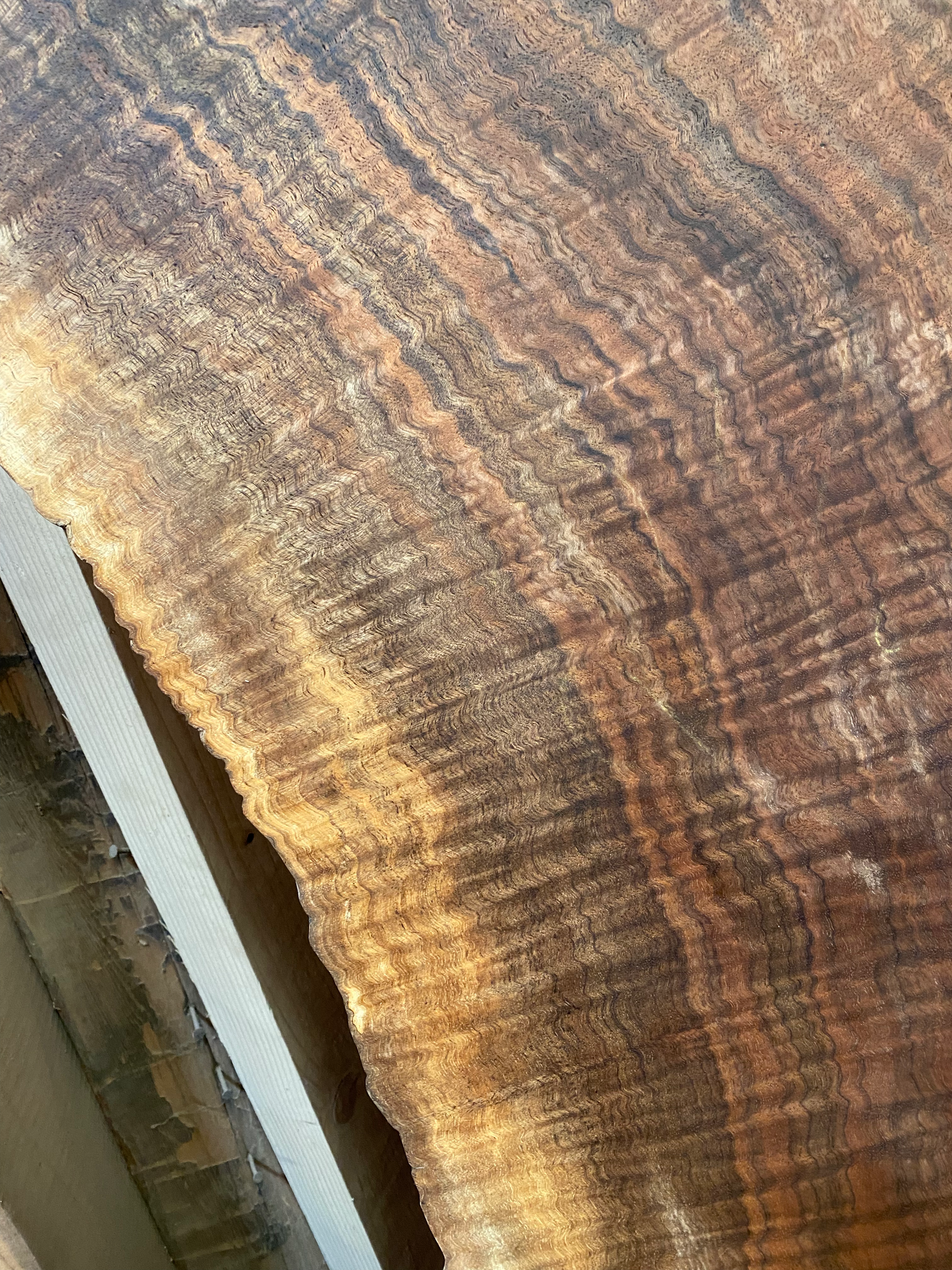 5' Wide Black Walnut Slab