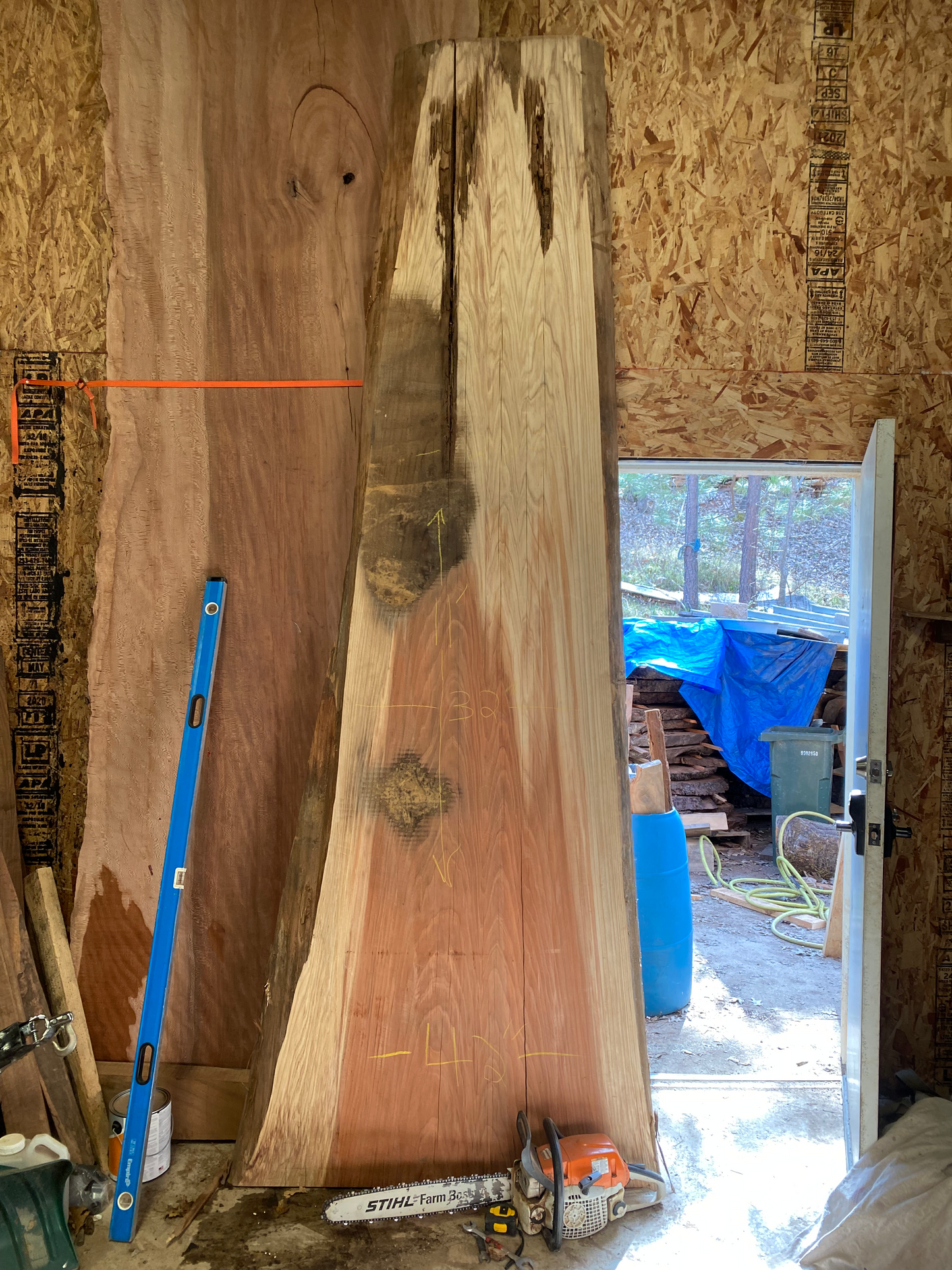 Giant Redwood Slab