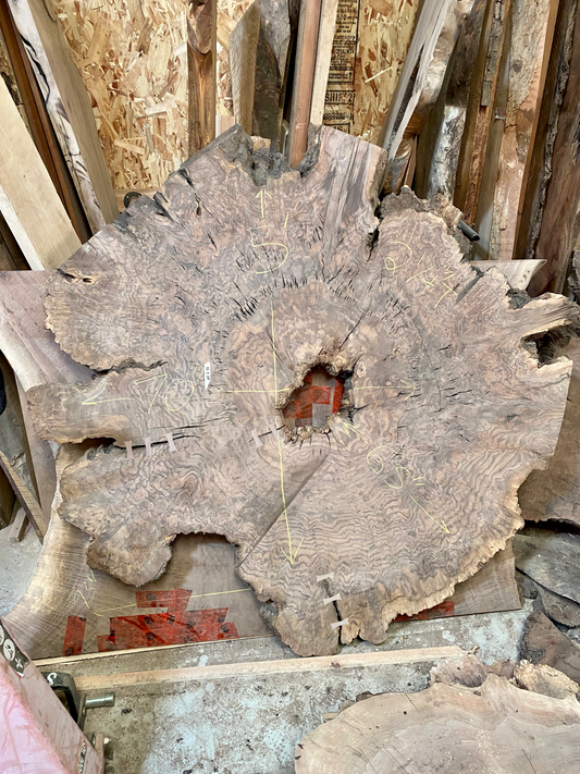5' Walnut Burl Cookie