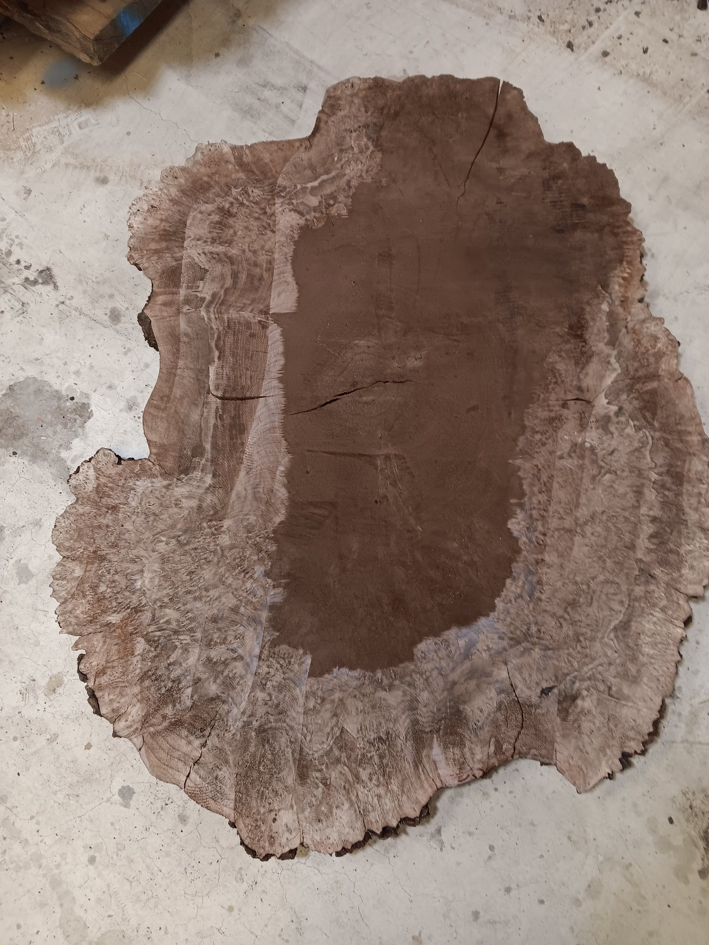 Claro Walnut Burl Cookie 001816