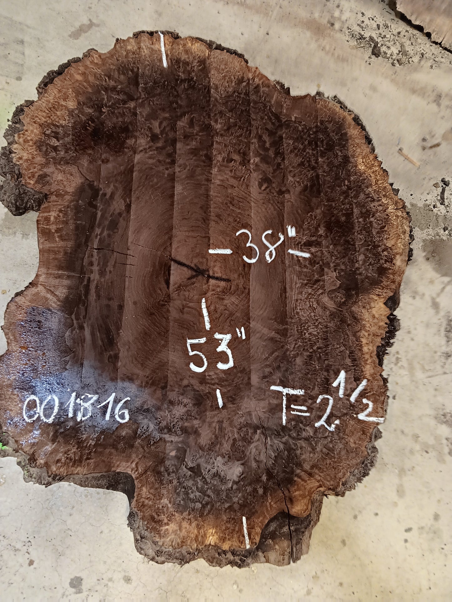 Claro Walnut Burl Cookie 001816