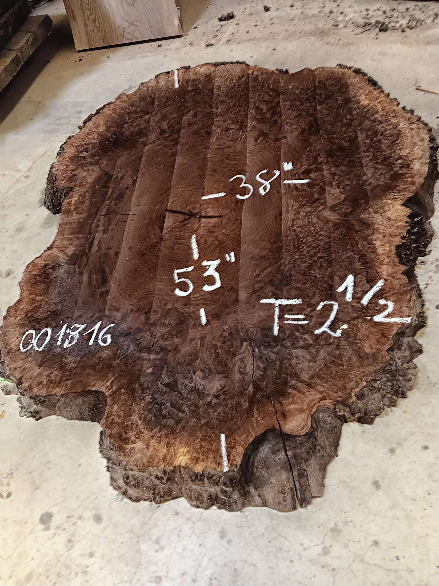 Claro Walnut Burl Cookie 001816