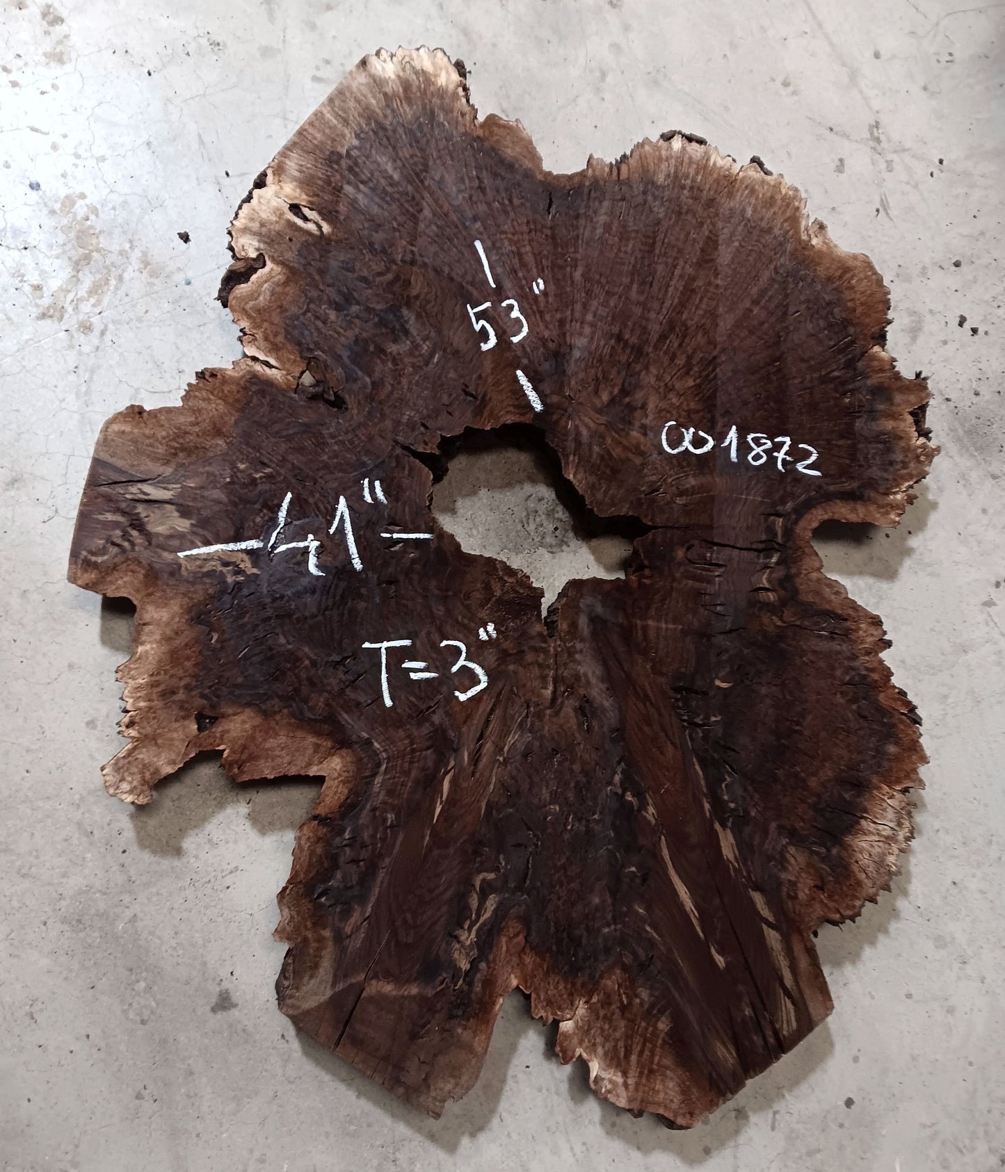 Claro Walnut Burl Cookie 001872