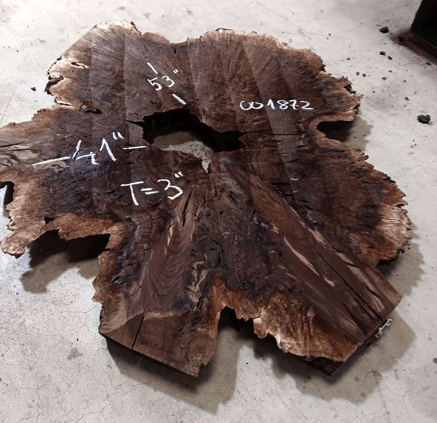 Claro Walnut Burl Cookie 001872