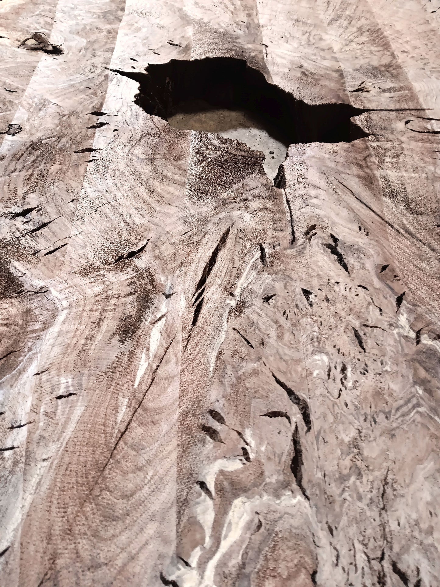 Claro Walnut Burl Cookie 001872