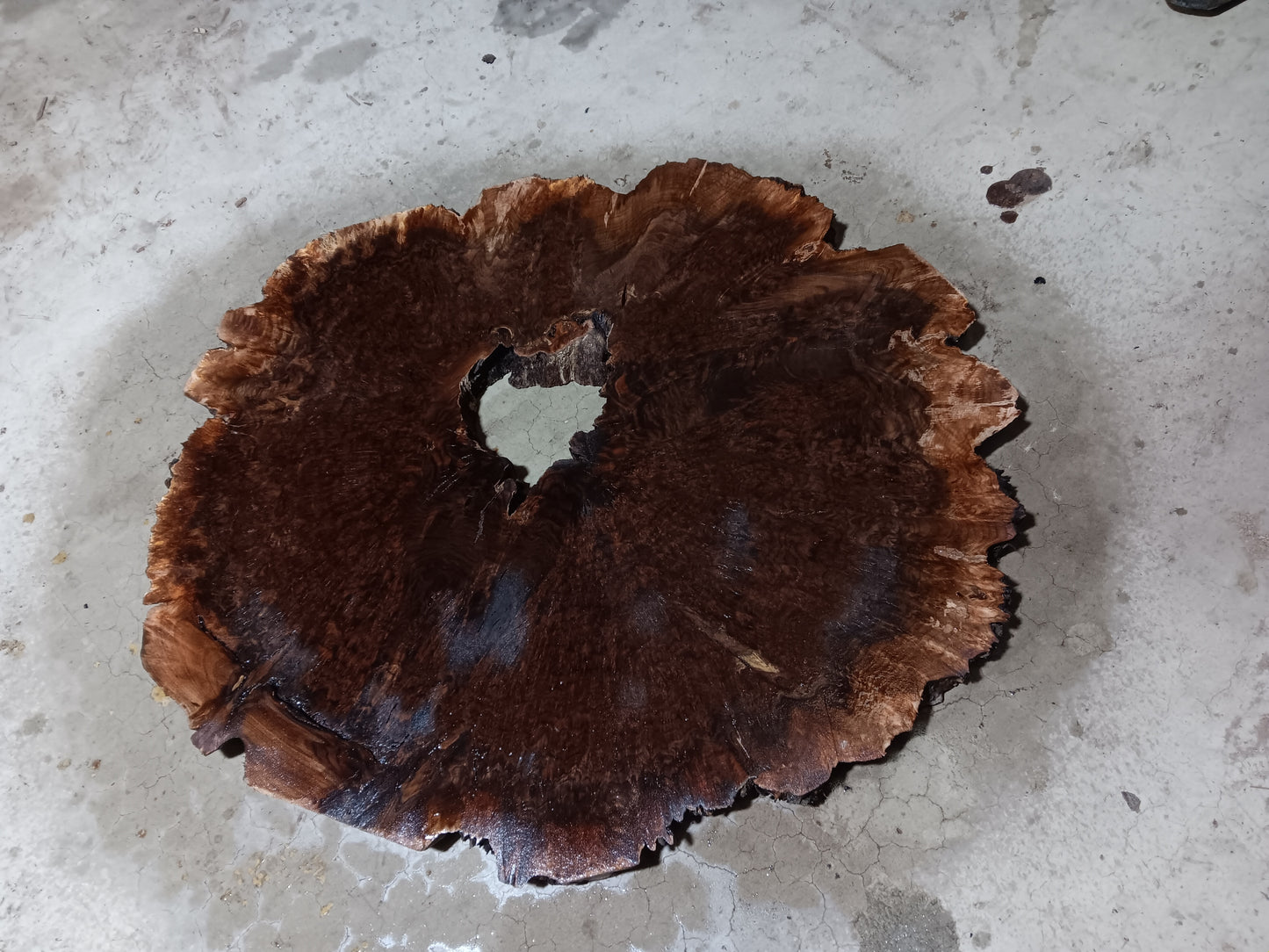 Claro Walnut Burl Cookie 001881