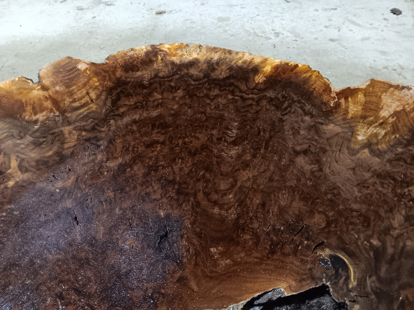 Claro Walnut Burl Cookie 001881