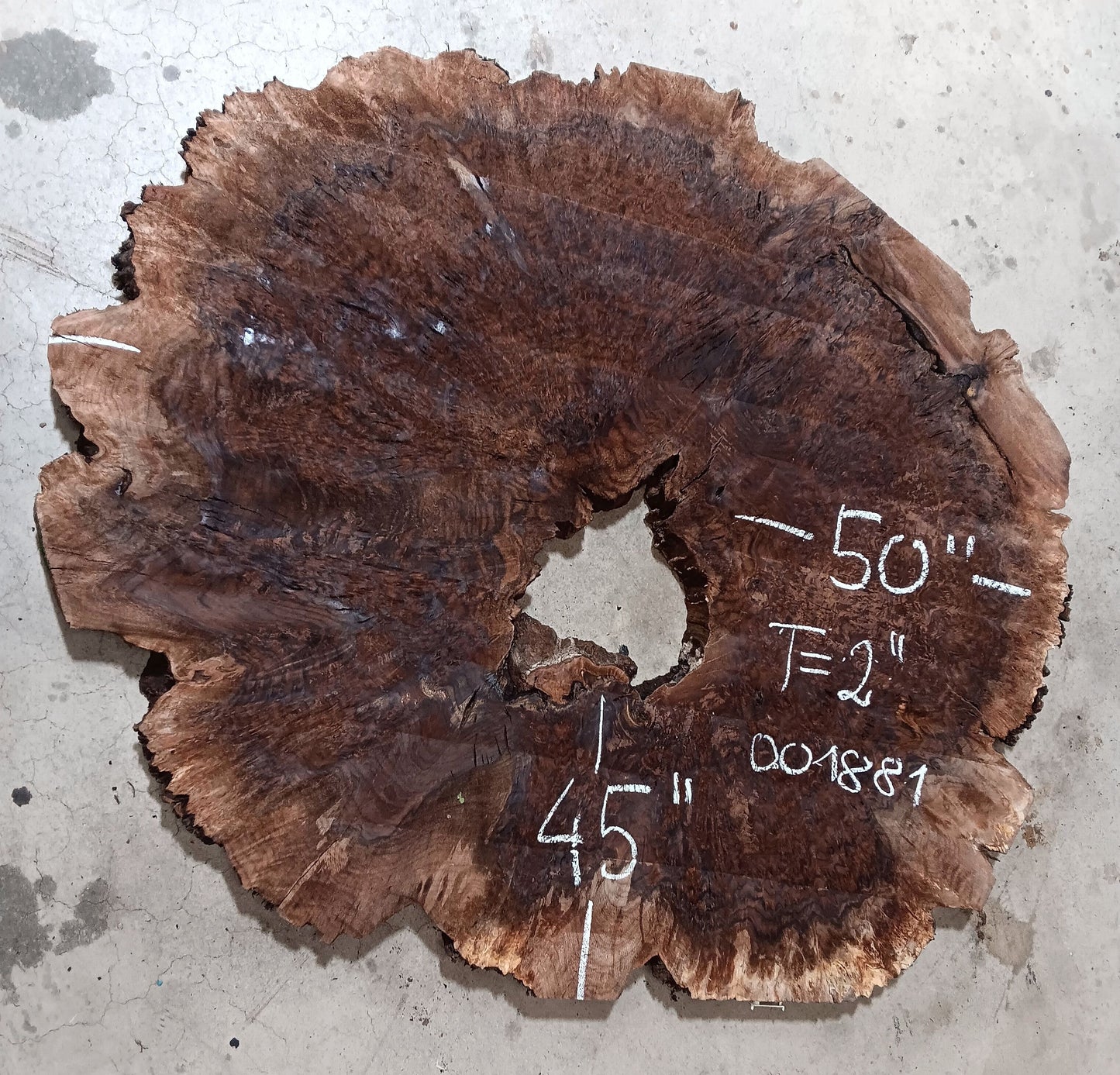 Claro Walnut Burl Cookie 001881