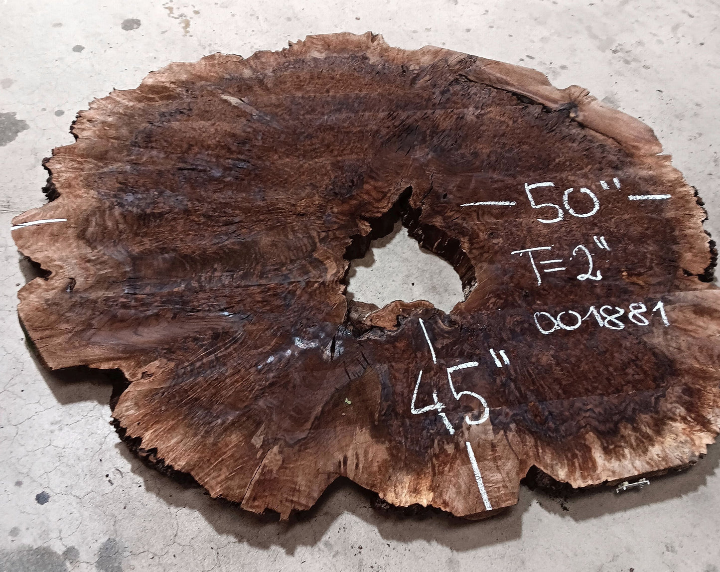 Claro Walnut Burl Cookie 001881
