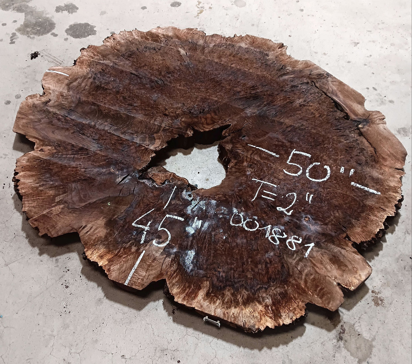 Claro Walnut Burl Cookie 001881