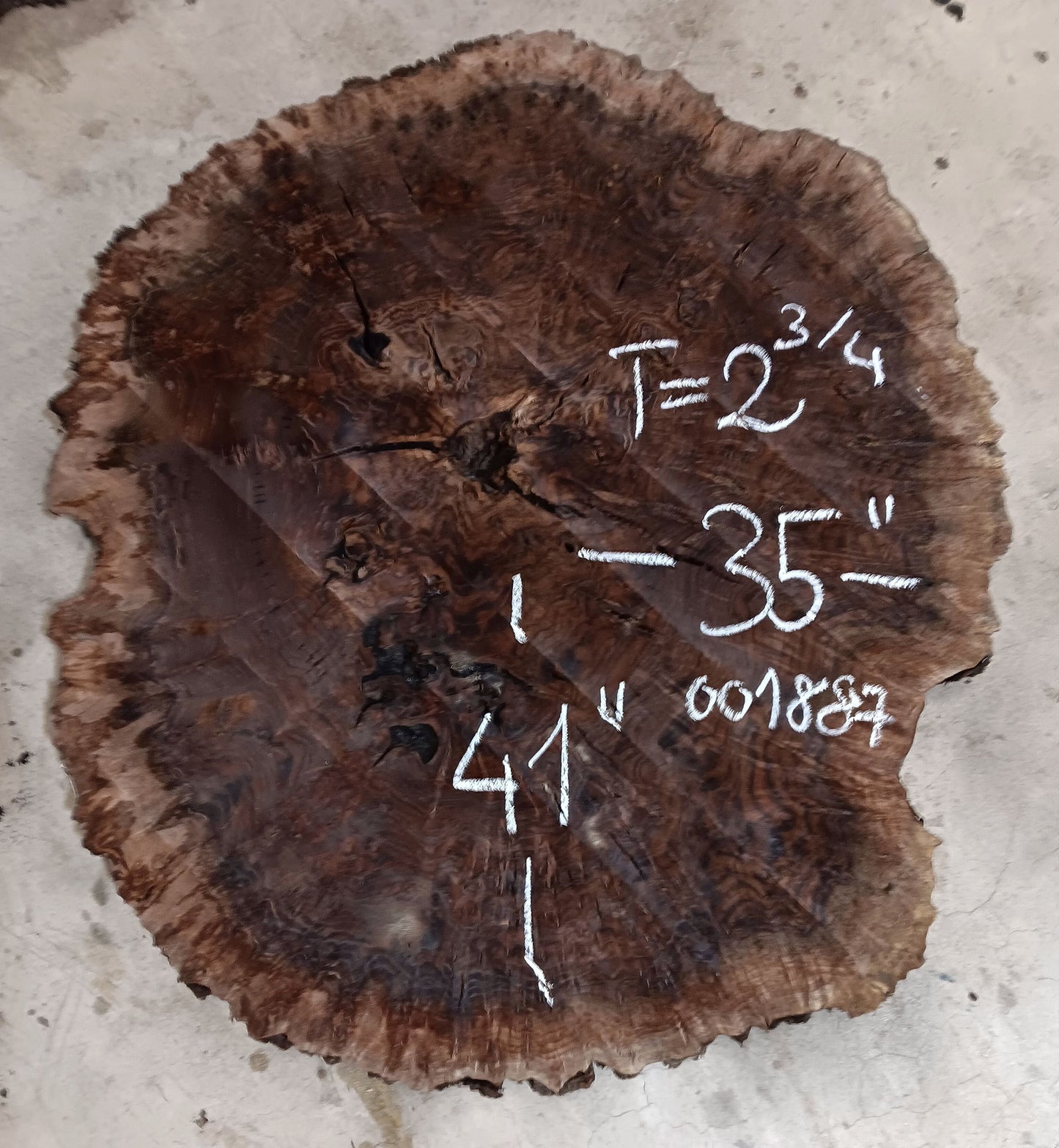 Claro Walnut Burl Cookie 001887
