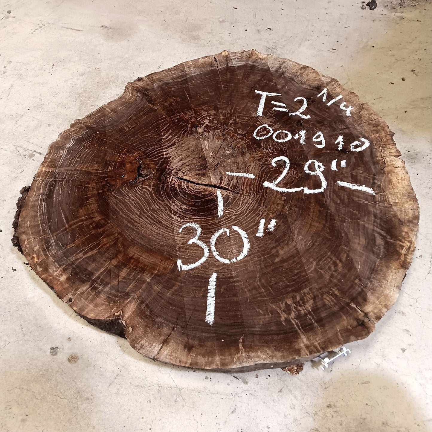 Claro Walnut Burl Cookie 001910