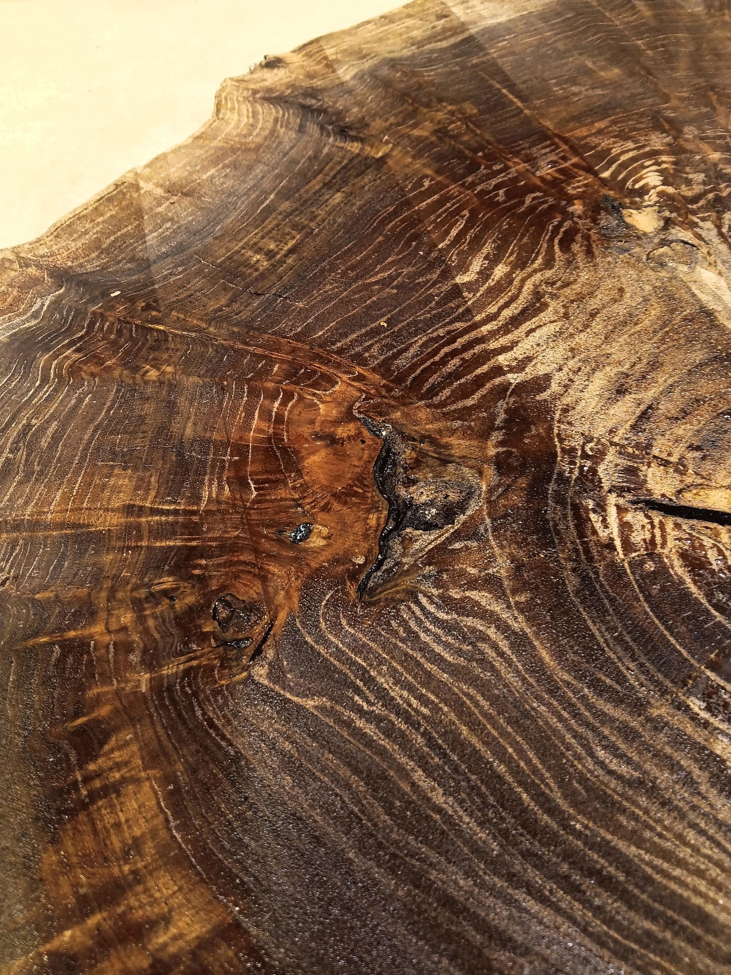 Claro Walnut Burl Cookie 001910