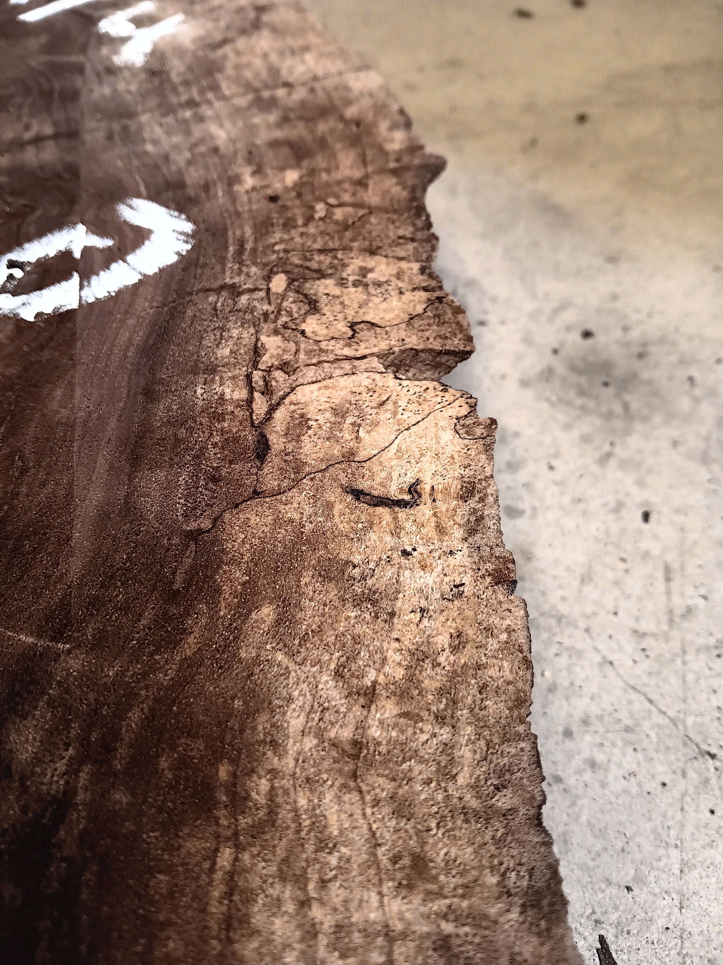 Claro Walnut Burl Cookie 001910