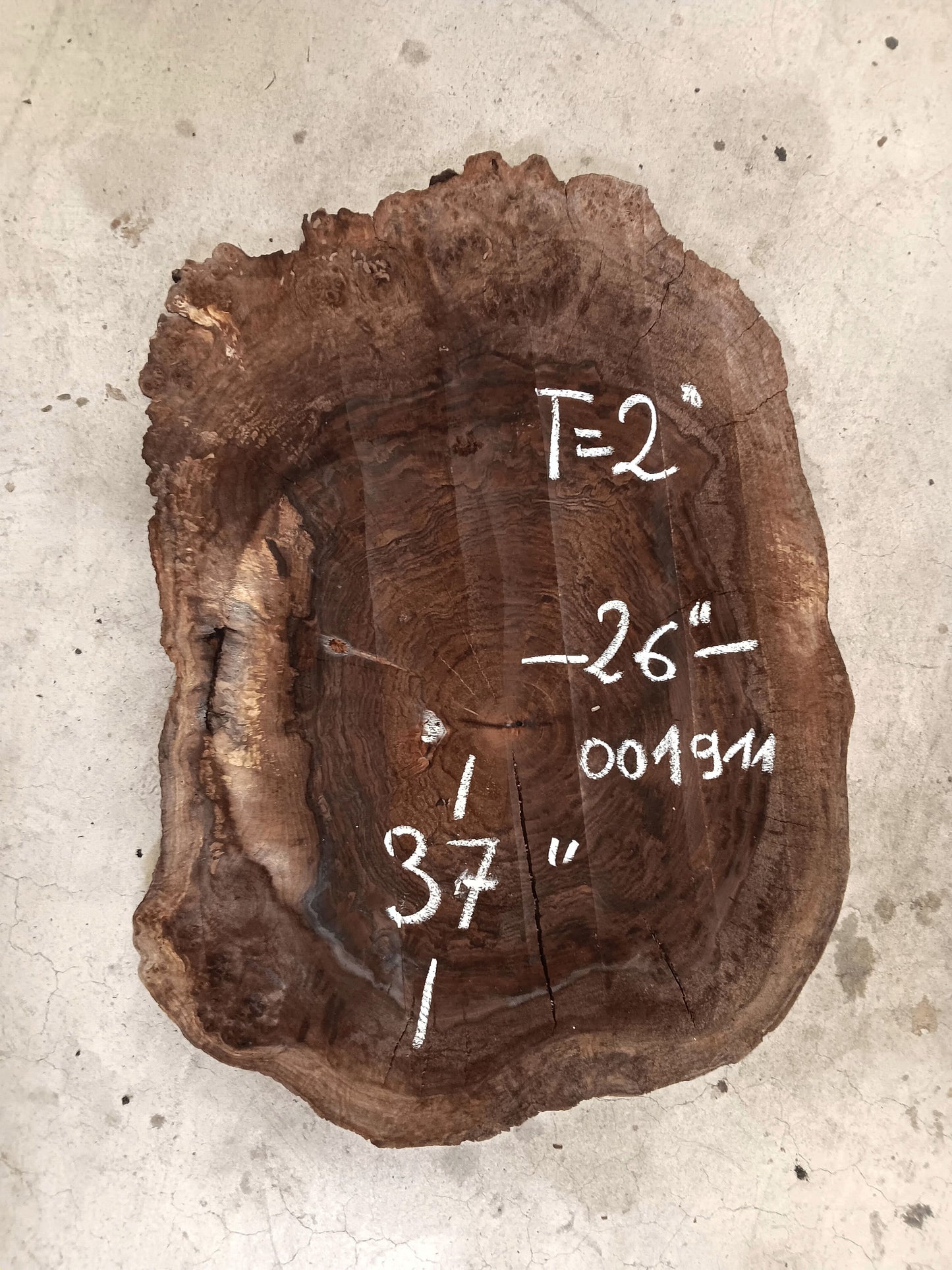 Claro Walnut Burl Cookie 001911
