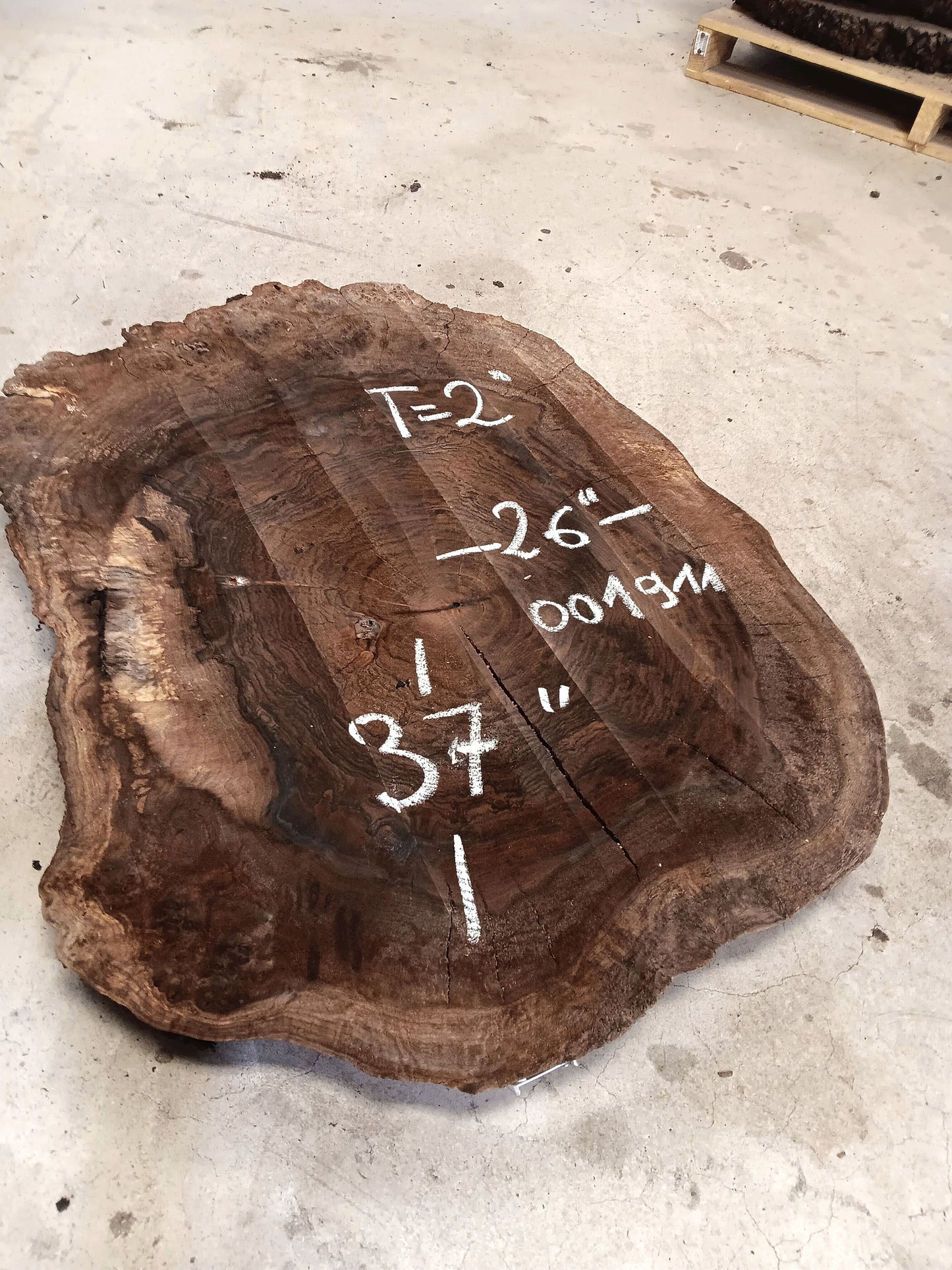 Claro Walnut Burl Cookie 001911