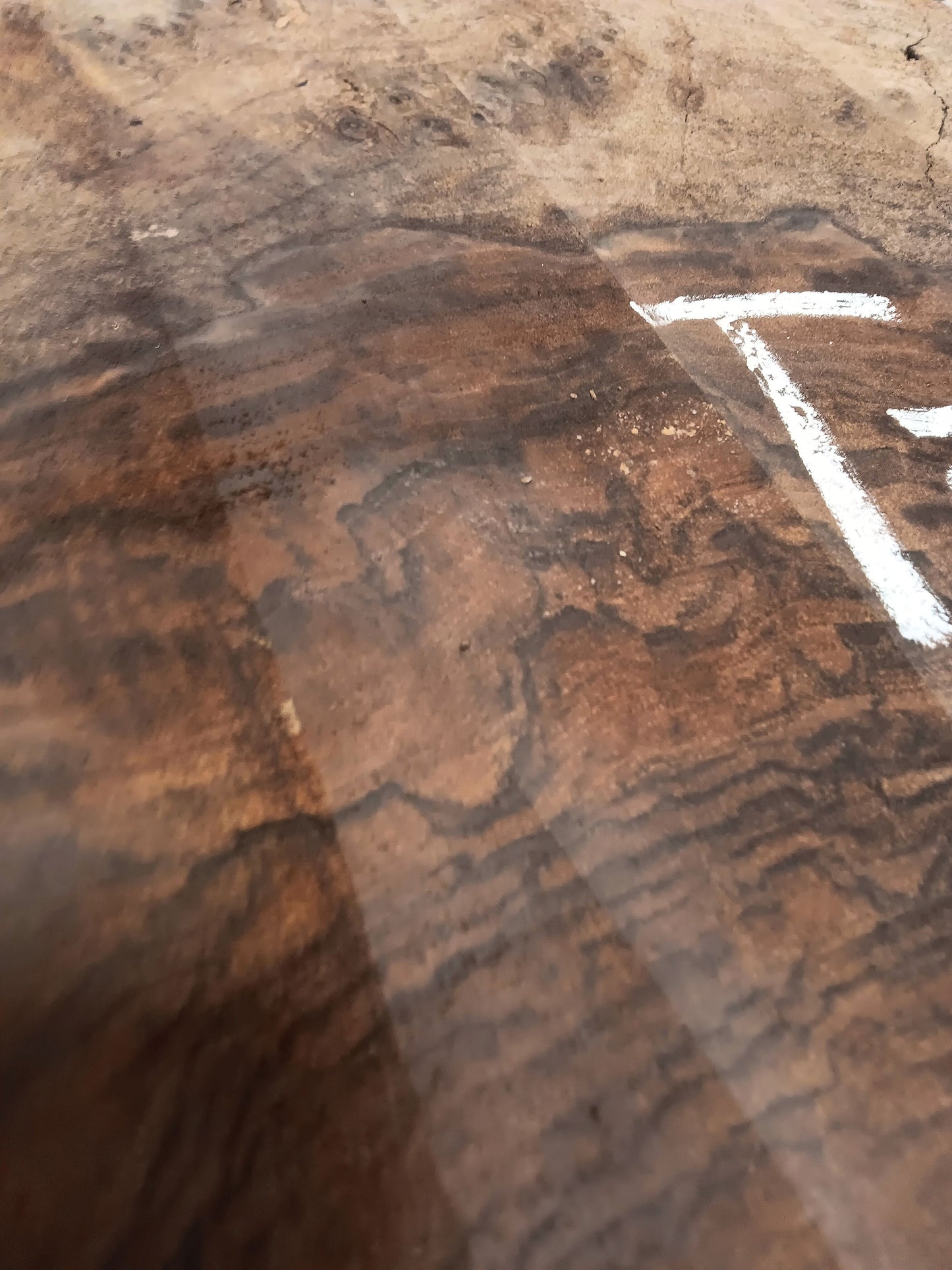 Claro Walnut Burl Cookie 001911