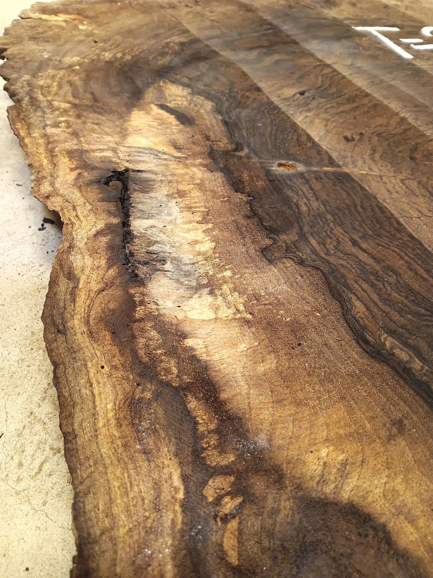 Claro Walnut Burl Cookie 001911