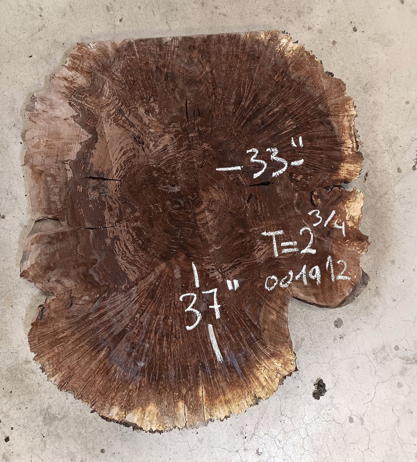 Claro Walnut Burl Cookie 001912