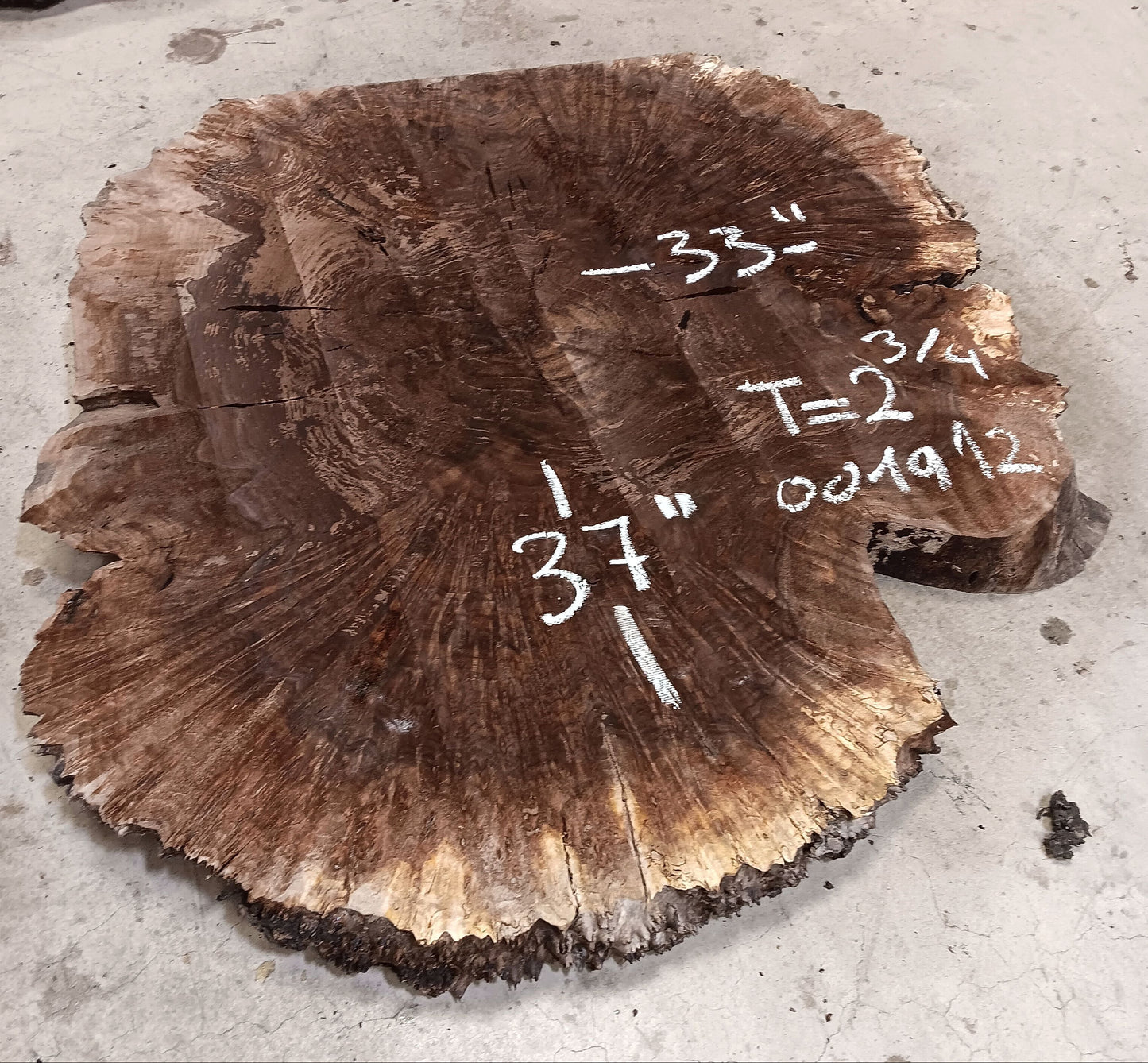 Claro Walnut Burl Cookie 001912