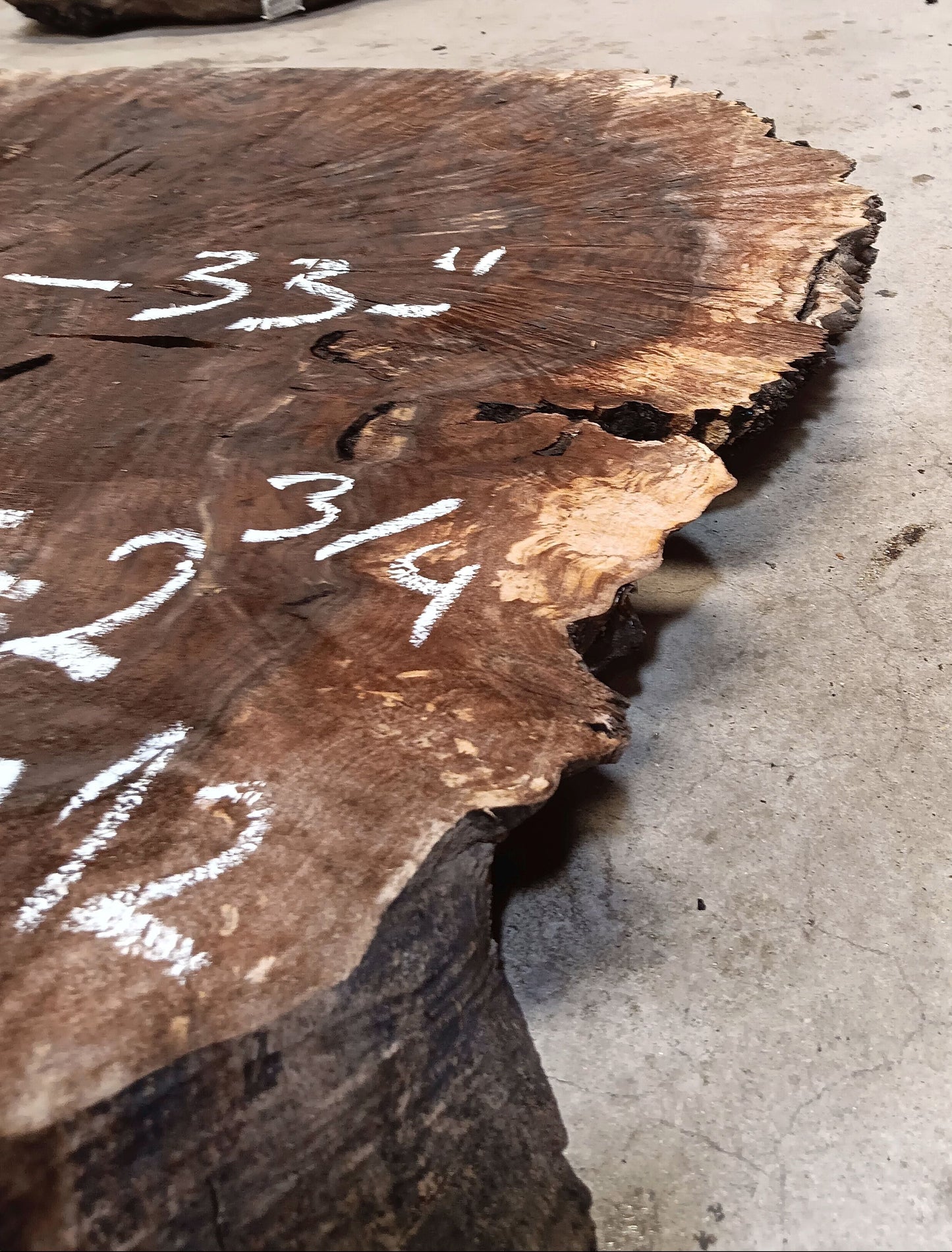 Claro Walnut Burl Cookie 001912