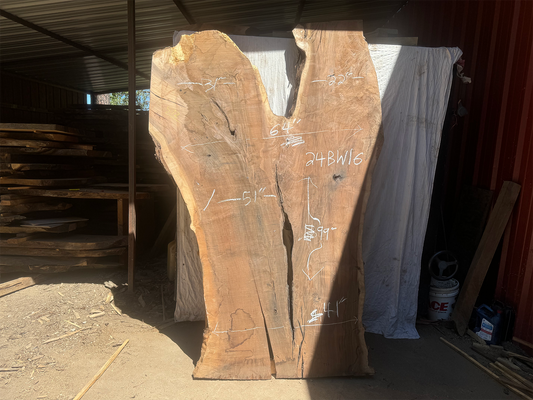 Dry black walnut crotch wood slab