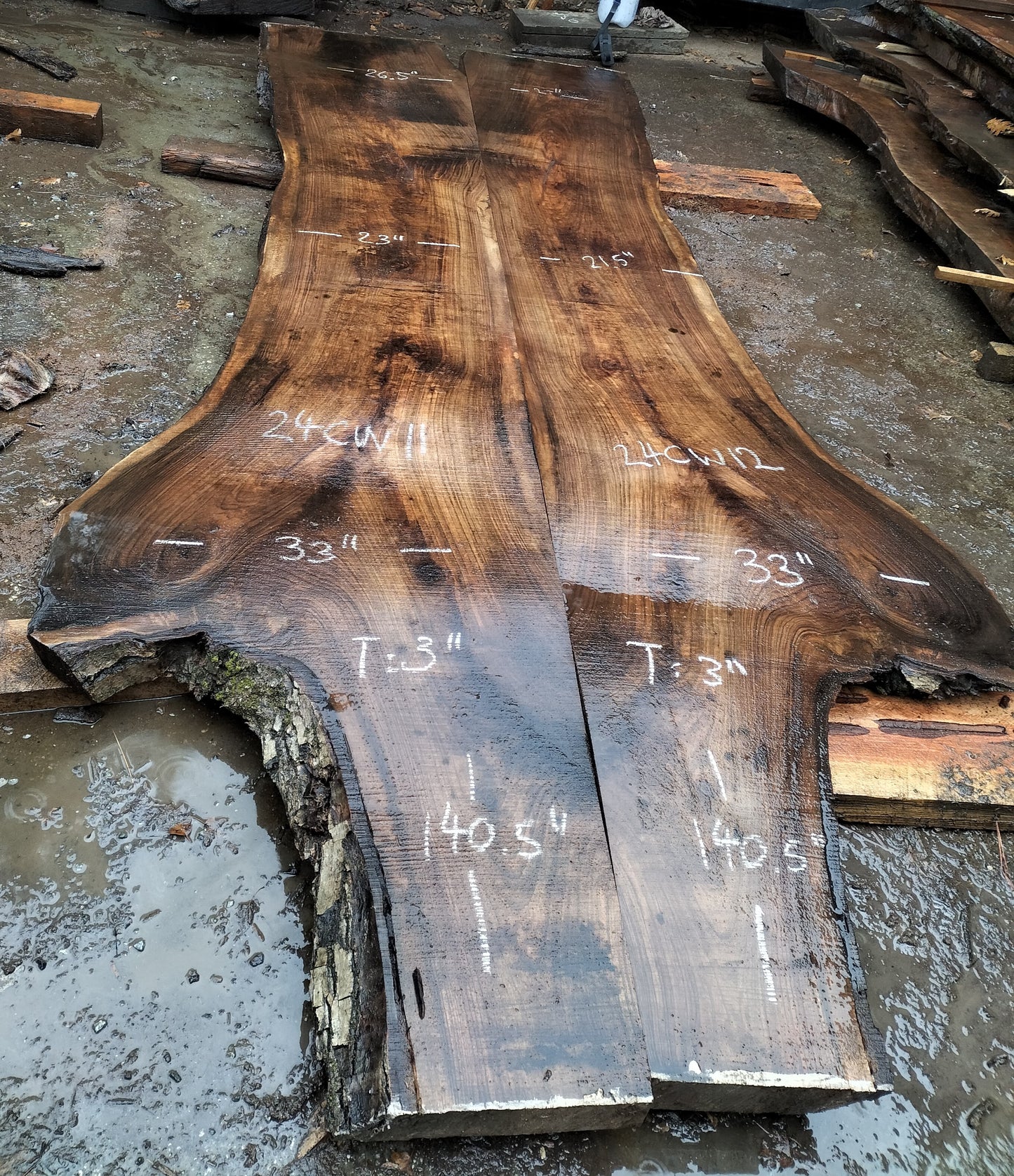 Bookmatch set of English walnut grafted on Claro walnut stock. Reclaimed from a California walnut orchard. Green, unsurfaced.  1: 140.5" x 26.5"-23"-33" x 3" 2: 140.5" x 24"-21.5"-33" x 3" 