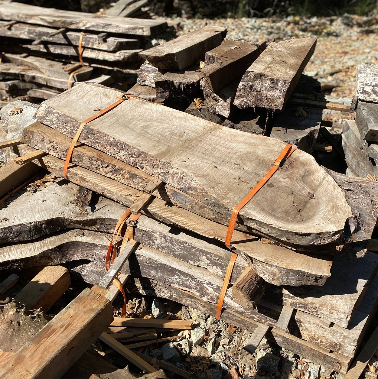 Bulk Walnut Coffee Table Slabs