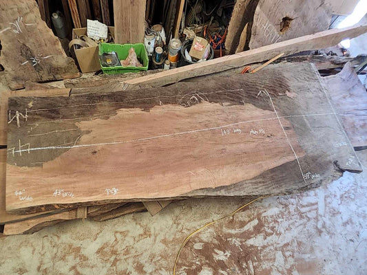 Giant 12'+ Sycamore Slab