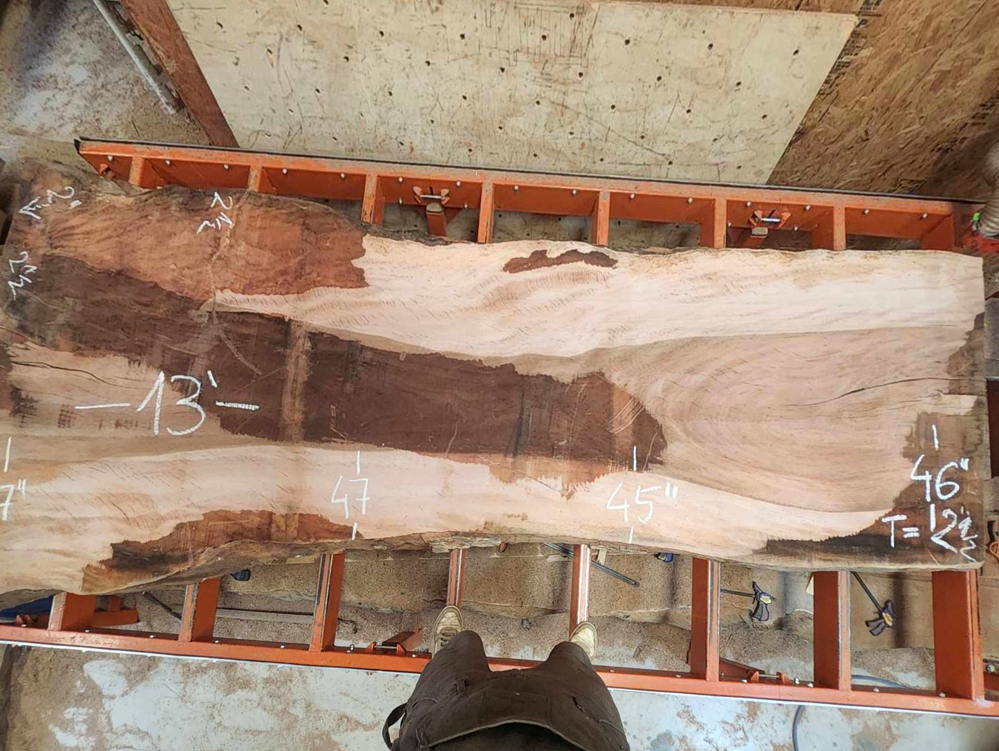 Giant 13' Sycamore Slab