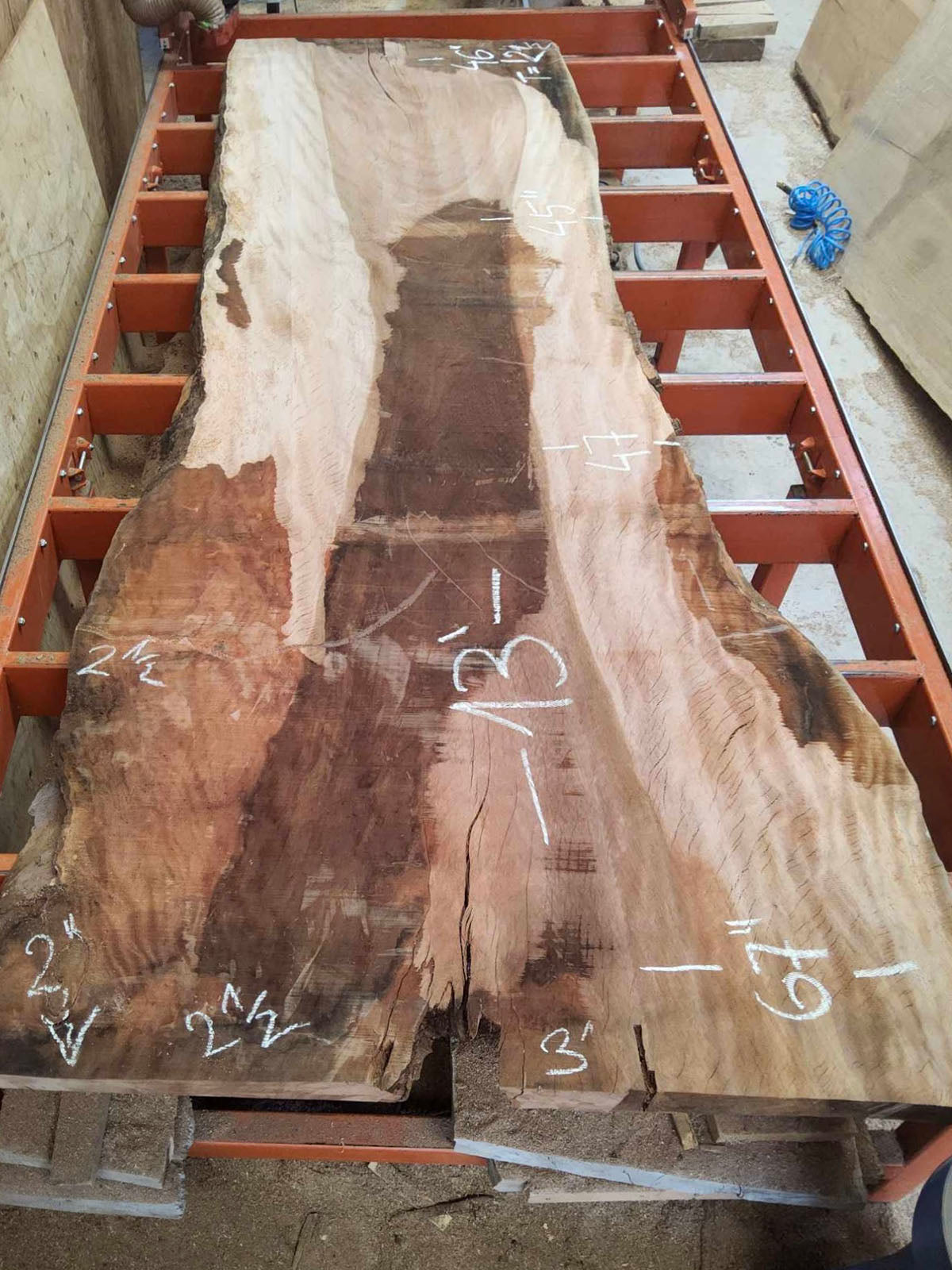 Giant 13' Sycamore Slab