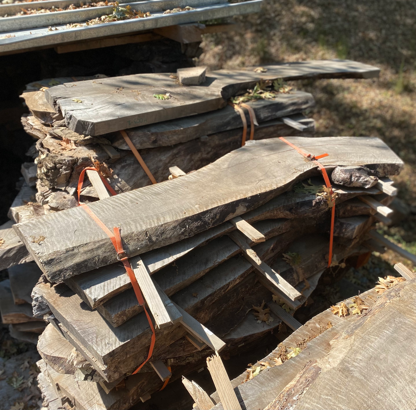 Bulk Walnut Shelf Slabs