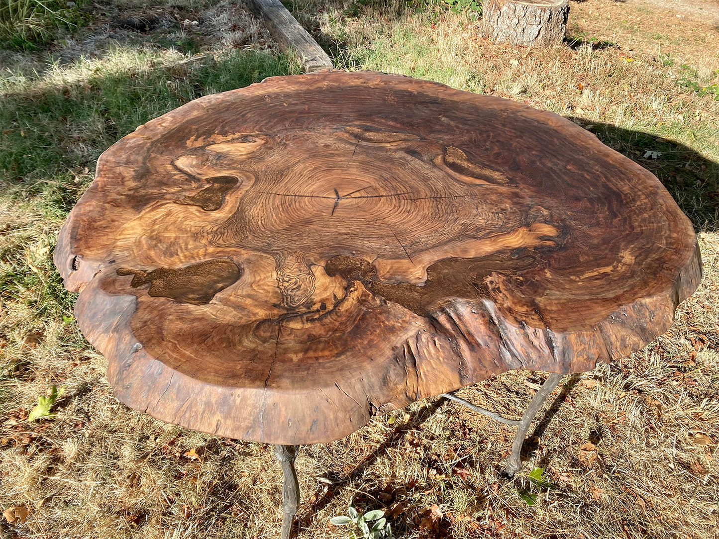 Grafted Walnut Burl Coffee Table